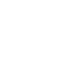 Smartphone Icon